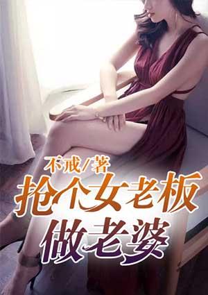 抢个女老板做老婆电视剧