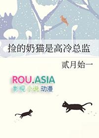 捡的奶猫是高冷总监免费阅读