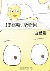 hp德哈杂物间福书村