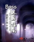 boss的饲养手册