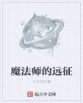 魔法师的新