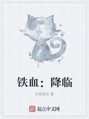 铁血战将全套