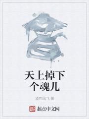 天上掉下个儿子全版