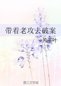 带着老攻去破案